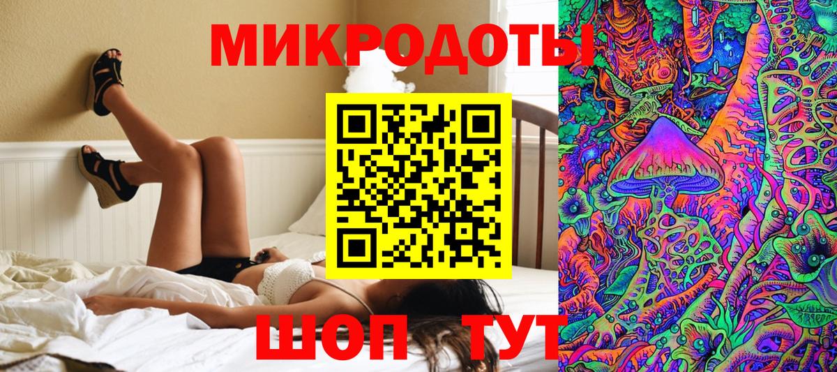 Галлюциногенные грибы Psilocybe Павловский Посад
